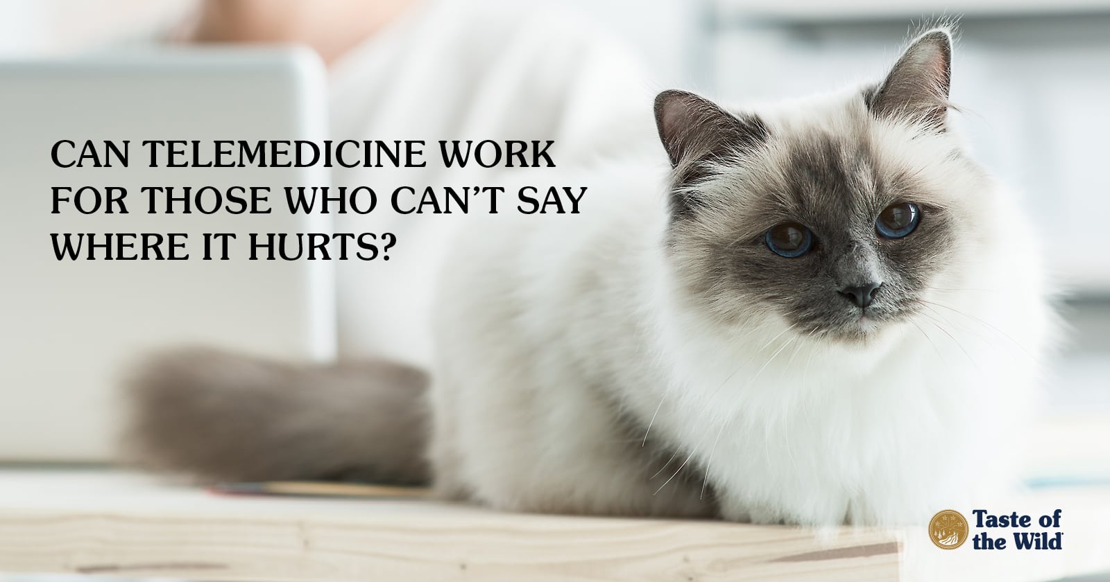 Virtual Vets Taking Pet Health Care Online Taste of the Wild